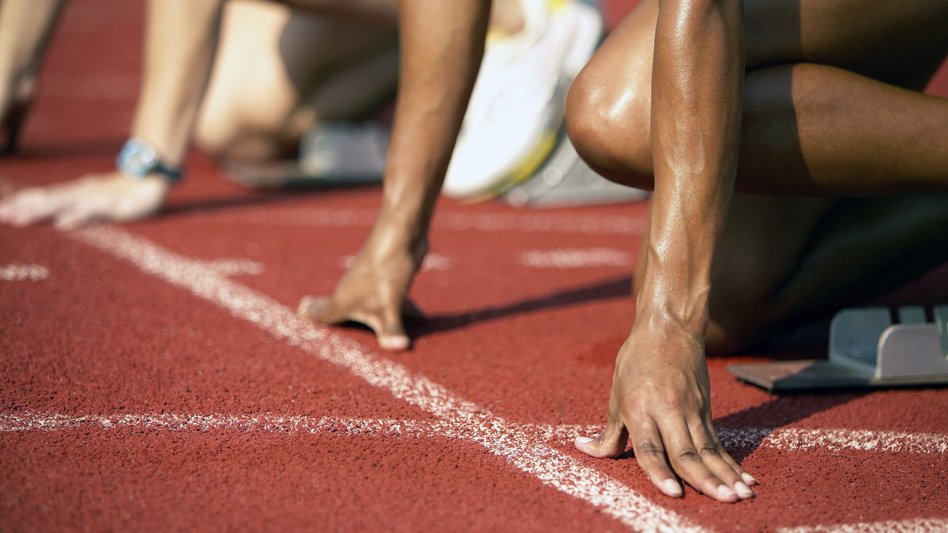 体育赛事社会影响力报告发布,展示发展成果,体育赛事发展现状